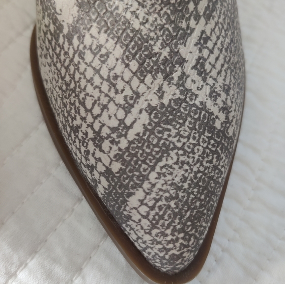 Snake print booties - Picture 6 of 9